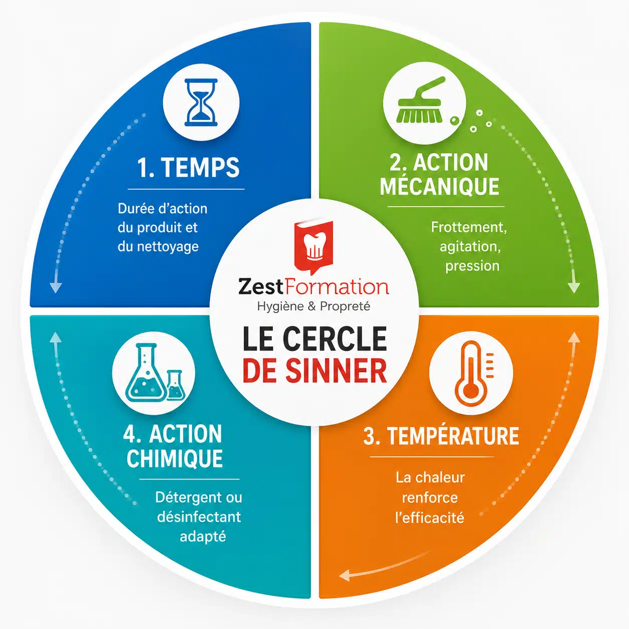 Cercle de Sinner – les 4 facteurs du nettoyage et de la désinfection